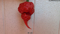 RB 003 - Pepper Seeds - White Hot Peppers